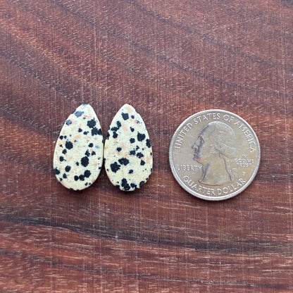 Dalmatian - Cabochon Pair - Oval - Rectangle - Teardrop