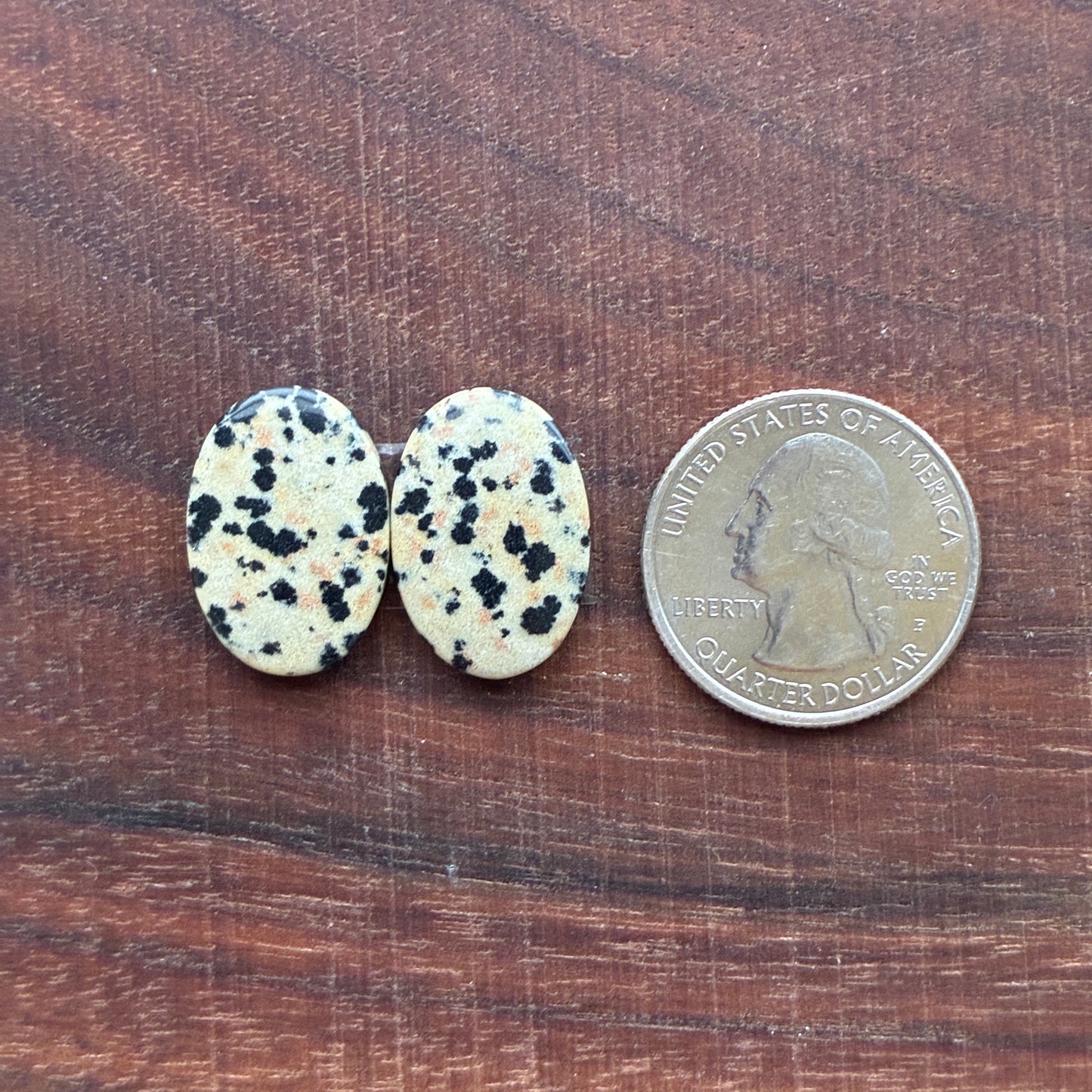 Dalmatian - Cabochon Pair - Oval - Rectangle - Teardrop