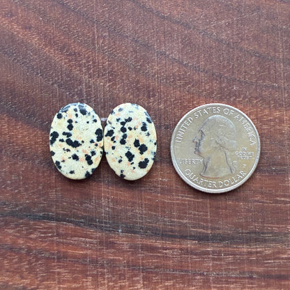 Dalmatian - Cabochon Pair - Oval - Rectangle - Teardrop