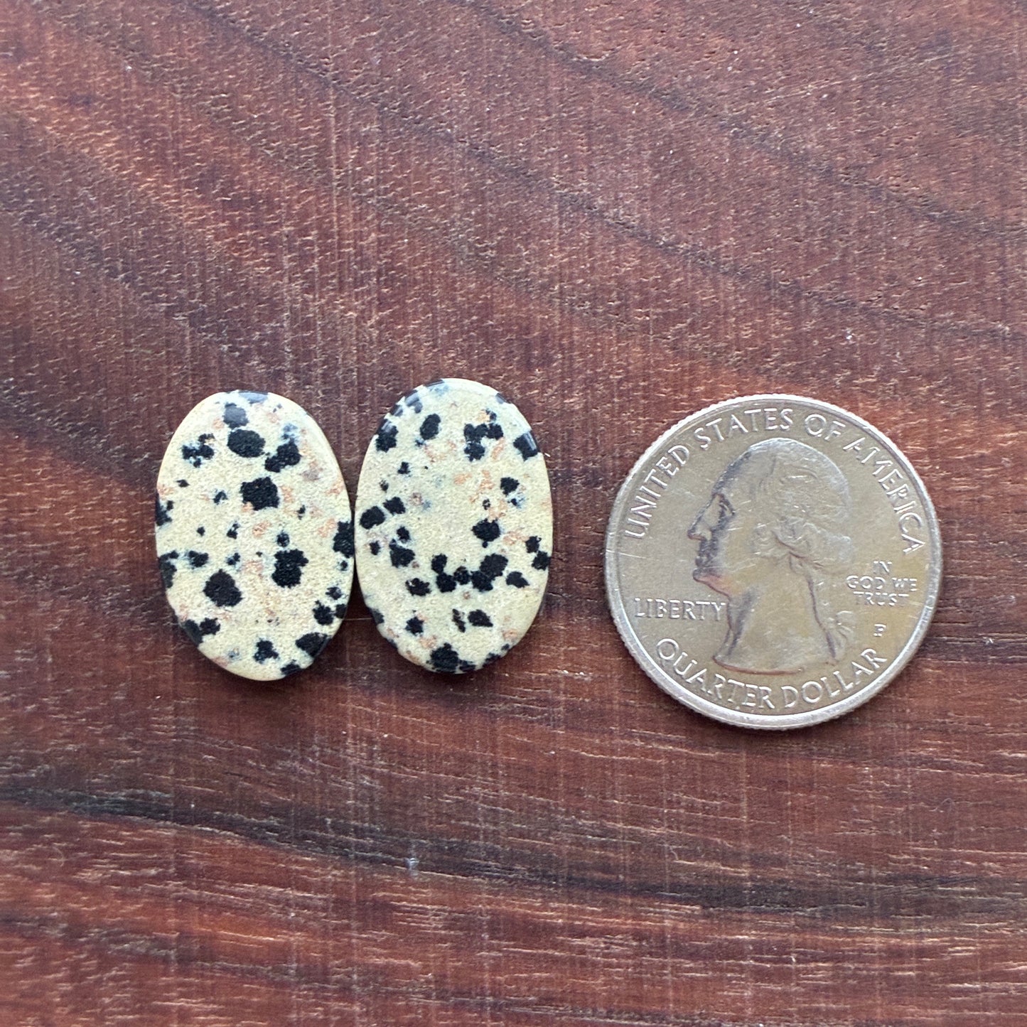 Dalmatian - Cabochon Pair - Oval - Rectangle - Teardrop