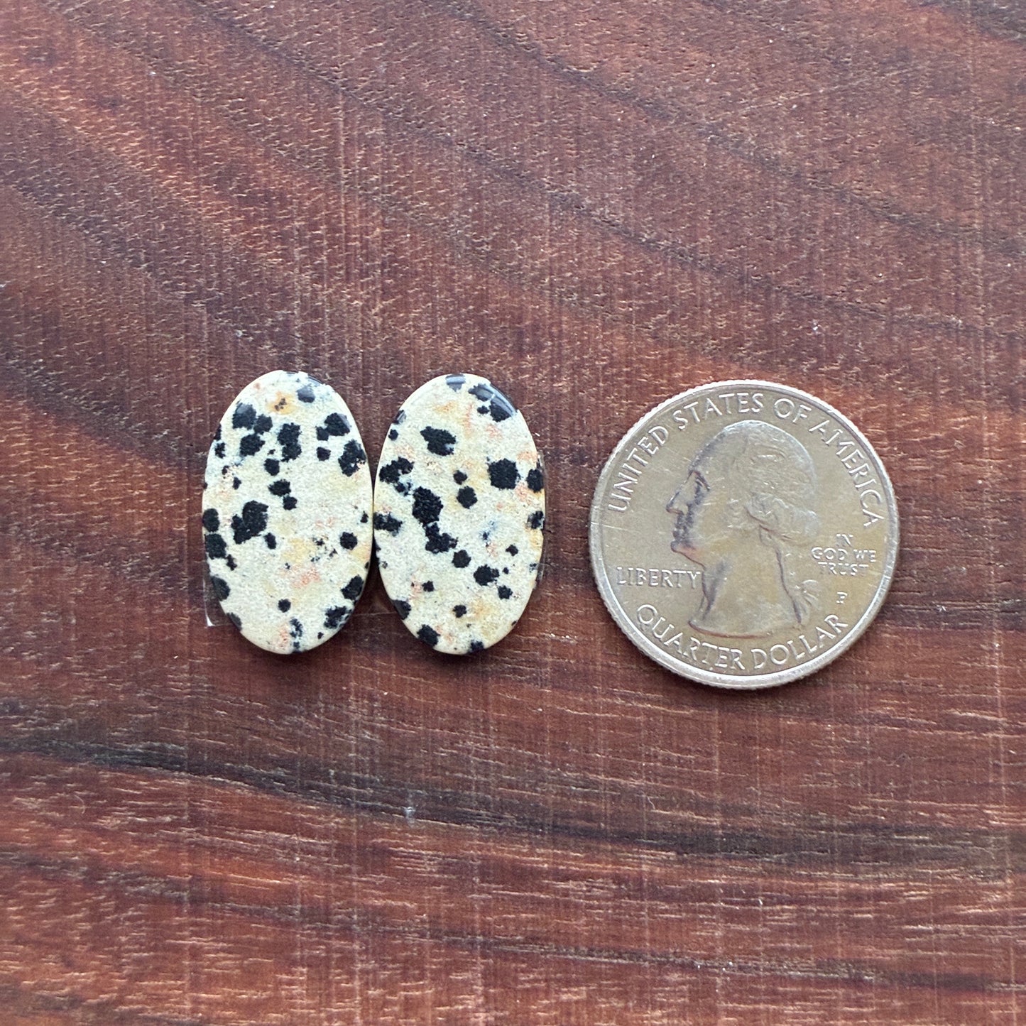 Dalmatian - Cabochon Pair - Oval - Rectangle - Teardrop