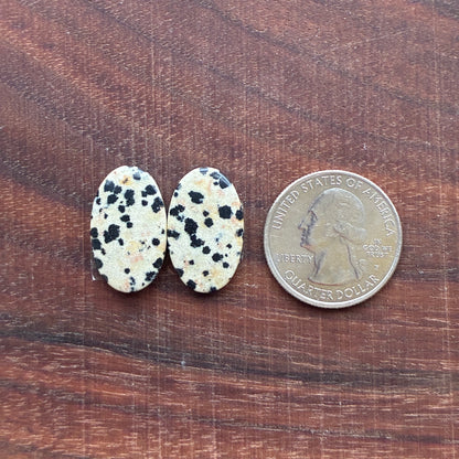 Dalmatian - Cabochon Pair - Oval - Rectangle - Teardrop