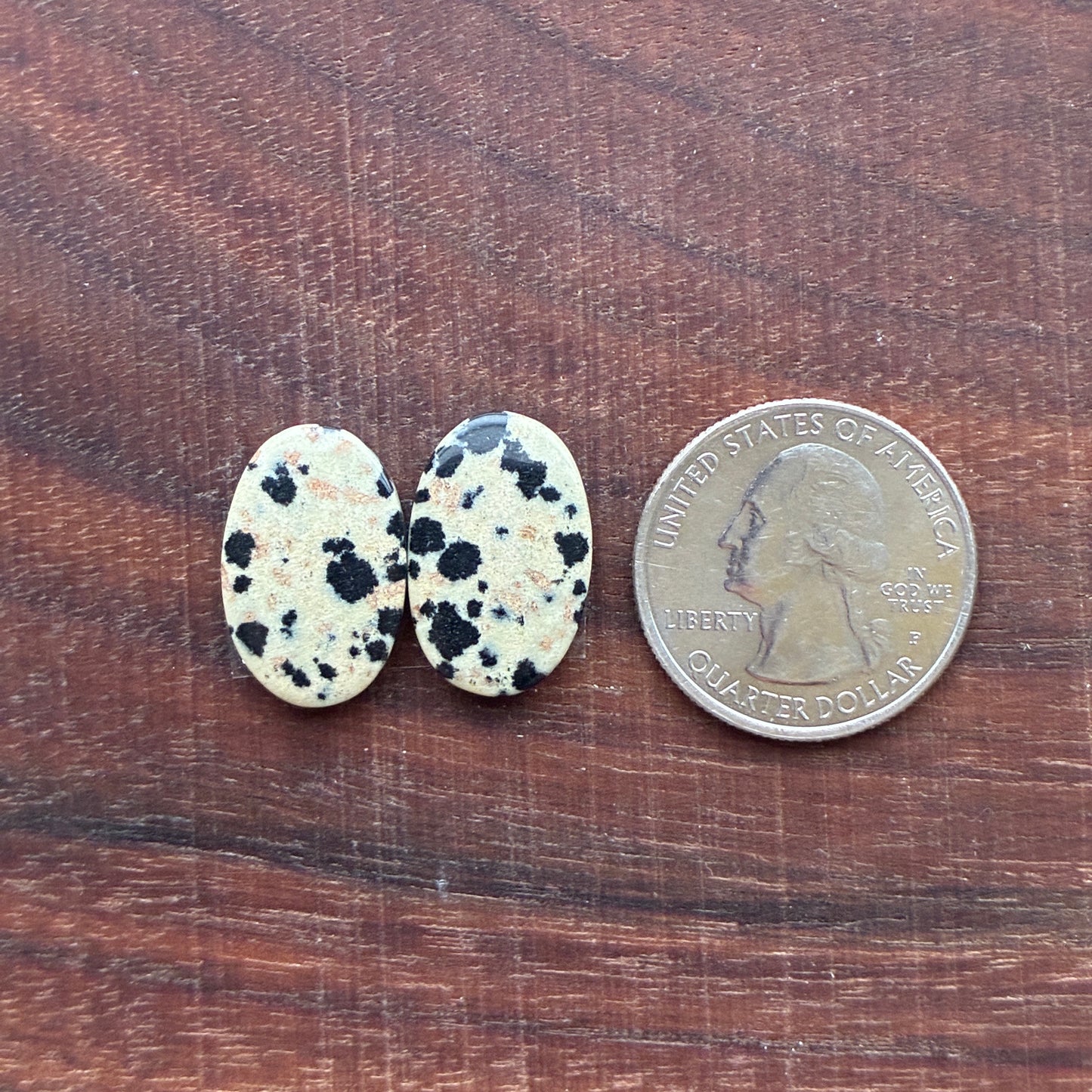 Dalmatian - Cabochon Pair - Oval - Rectangle - Teardrop