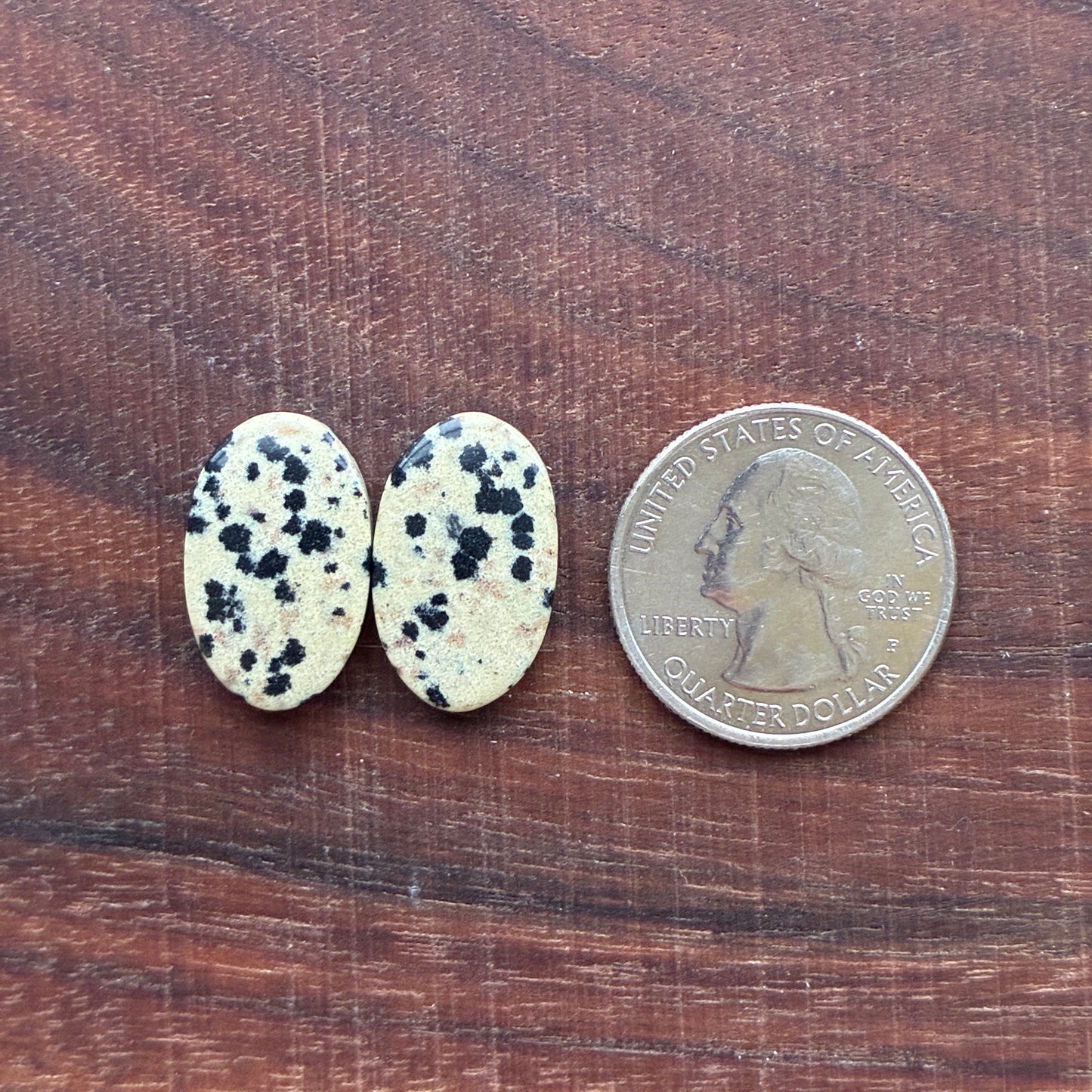 Dalmatian - Cabochon Pair - Oval - Rectangle - Teardrop