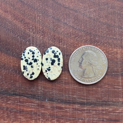 Dalmatian - Cabochon Pair - Oval - Rectangle - Teardrop