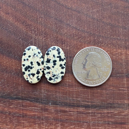 Dalmatian - Cabochon Pair - Oval - Rectangle - Teardrop