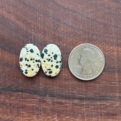 Dalmatian - Cabochon Pair - Oval - Rectangle - Teardrop