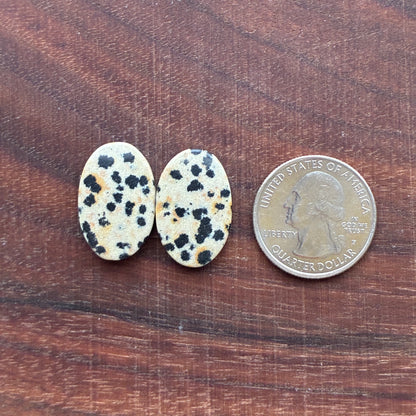 Dalmatian - Cabochon Pair - Oval - Rectangle - Teardrop