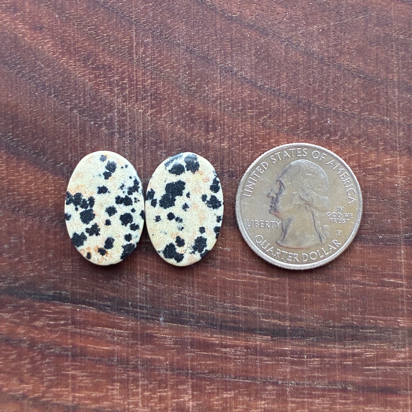 Dalmatian - Cabochon Pair - Oval - Rectangle - Teardrop