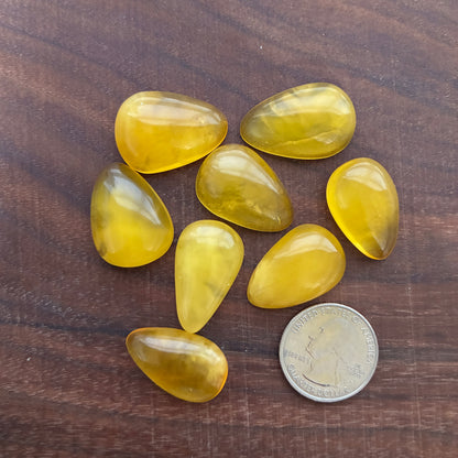 Amber - Teardrop - Cabochon