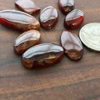 Hessonite Garnet - Cabochon - Oval