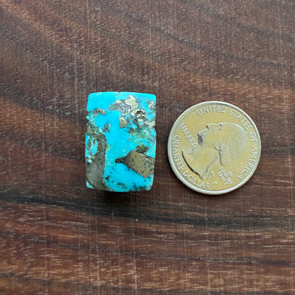 Persian Turquoise - Cabochon - Rough Back - Thick
