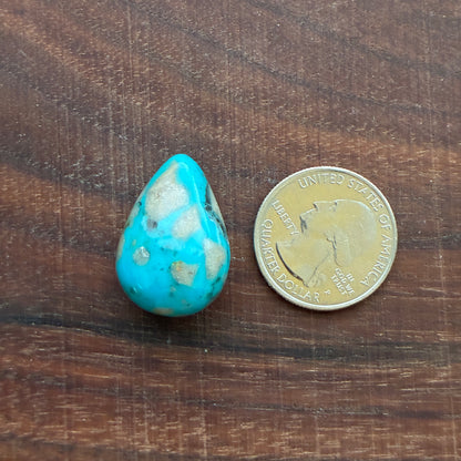 Persian Turquoise - Cabochon - Rough Back - Thick