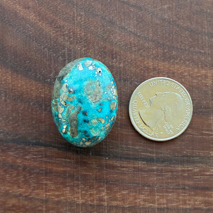 Persian Turquoise - Cabochon - Rough Back - Thick