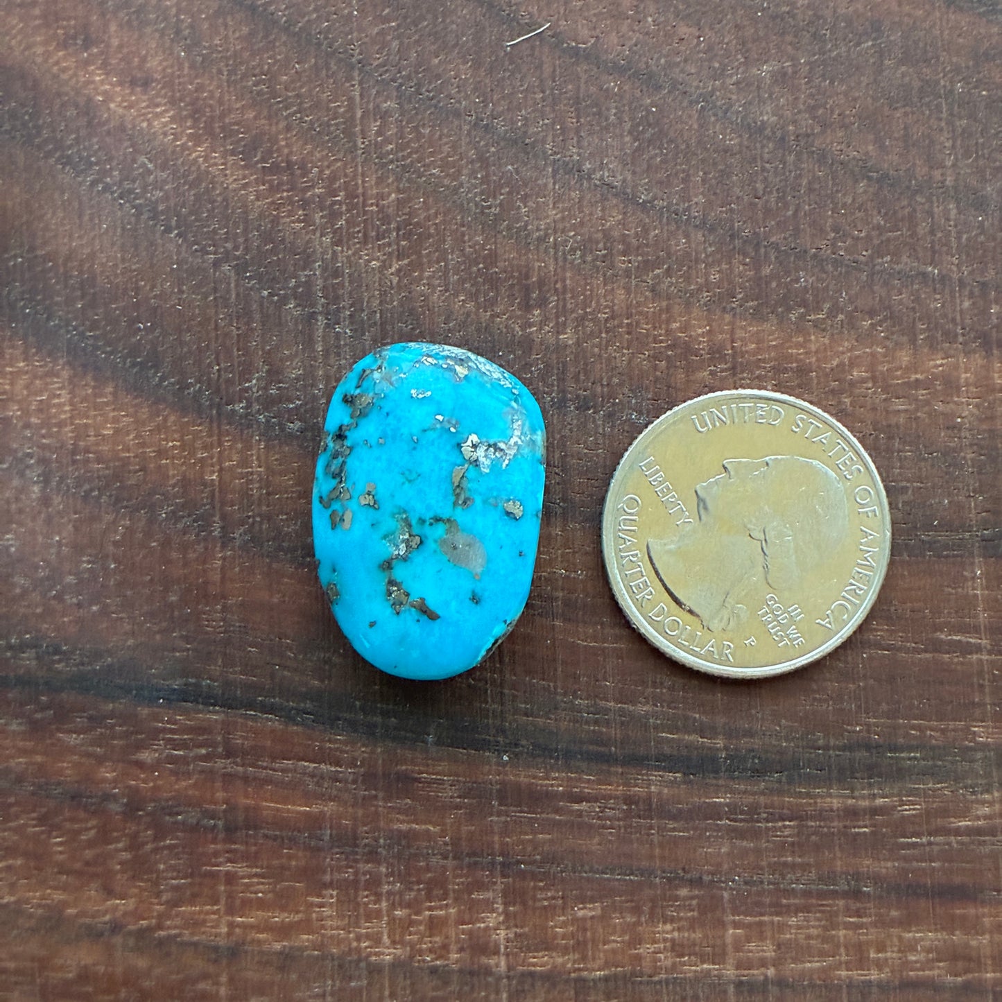 Persian Turquoise - Cabochon - Rough Back - Thick