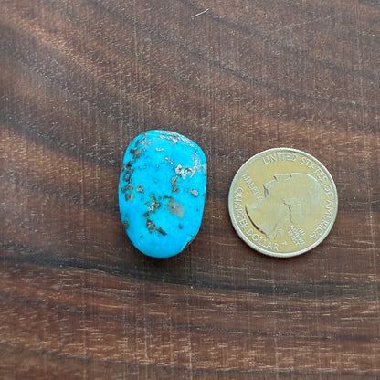 Persian Turquoise - Cabochon - Rough Back - Thick