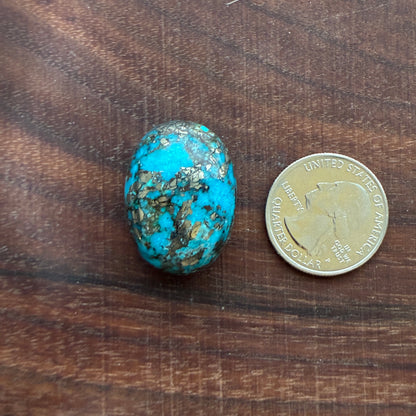Persian Turquoise - Cabochon - Rough Back - Thick