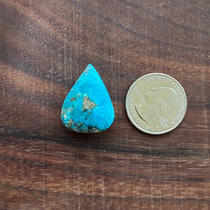 Persian Turquoise - Cabochon - Rough Back - Thick