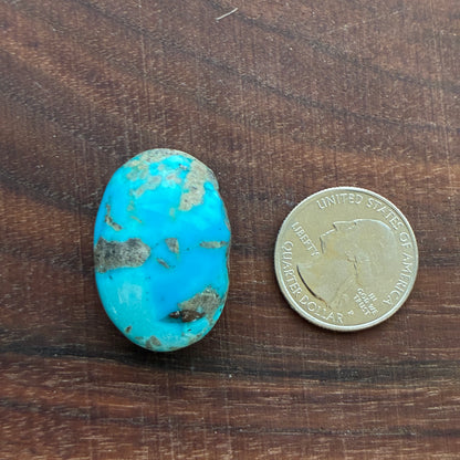 Persian Turquoise - Cabochon - Rough Back - Thick