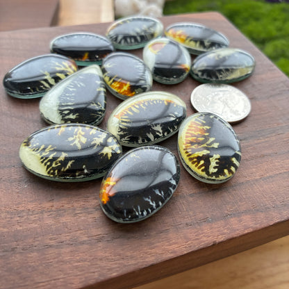 Glass Cabochon - Oval - Teardrop