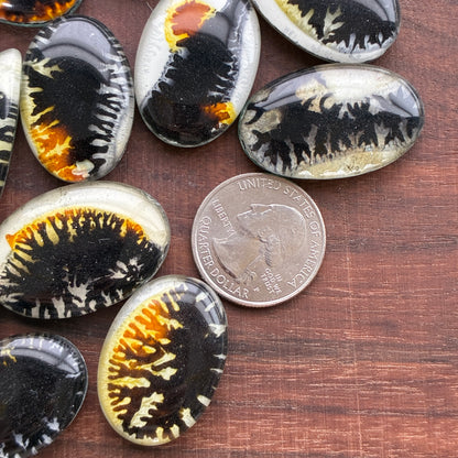 Glass Cabochon - Oval - Teardrop