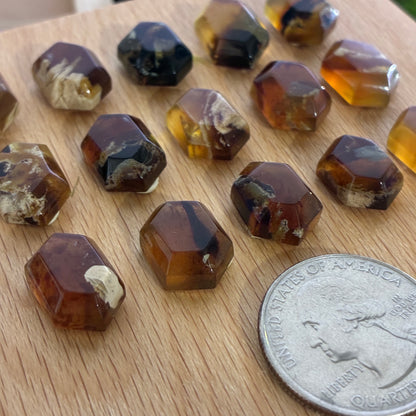 Indonesia Grass Amber - Cabochon - UV Reactive - Blue Amber