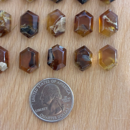 Indonesia Grass Amber - Cabochon - UV Reactive - Blue Amber