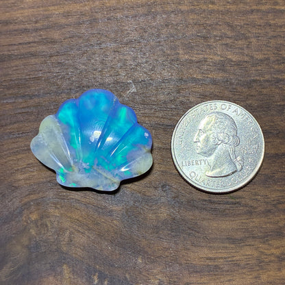 Plum Agate Aurora Doublet - Shell Shape - Cabochon