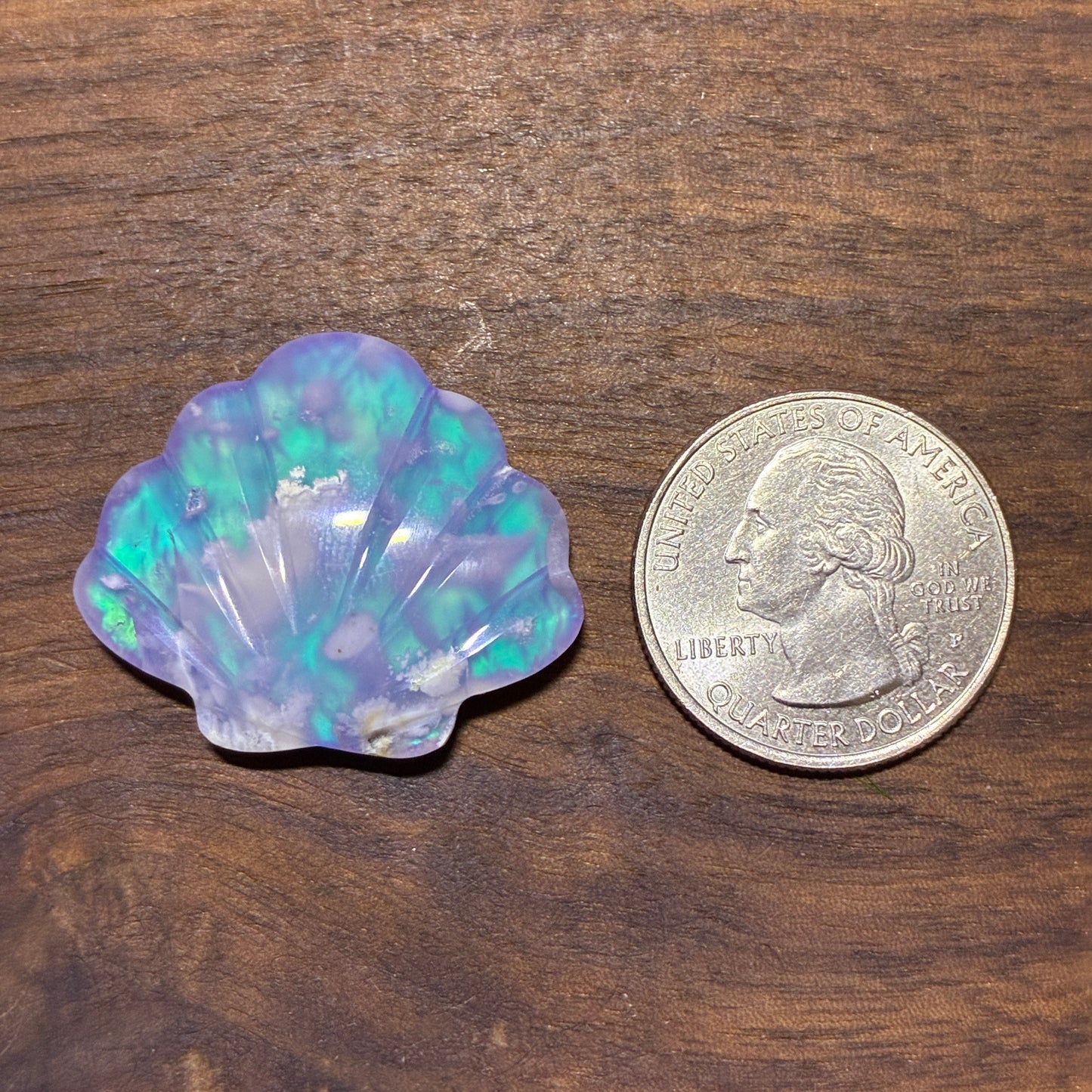 Plum Agate Aurora Doublet - Shell Shape - Cabochon