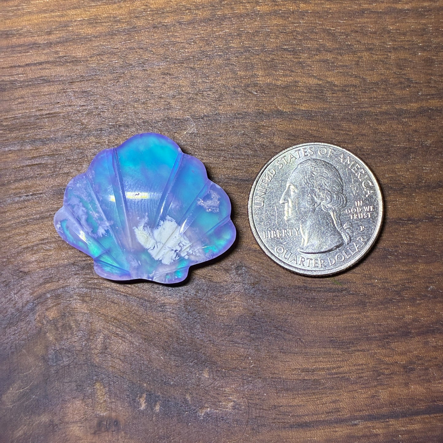 Plum Agate Aurora Doublet - Shell Shape - Cabochon