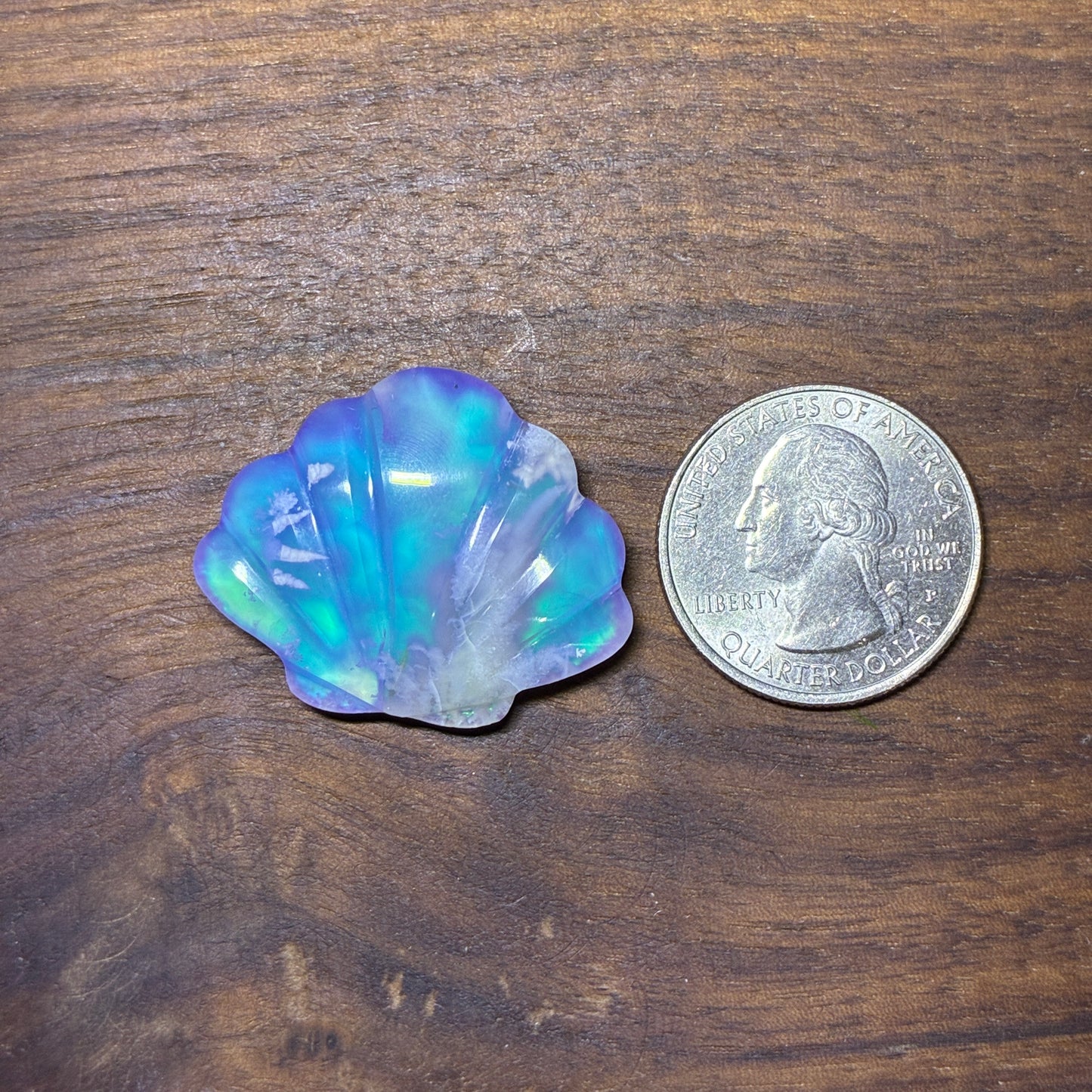 Plum Agate Aurora Doublet - Shell Shape - Cabochon