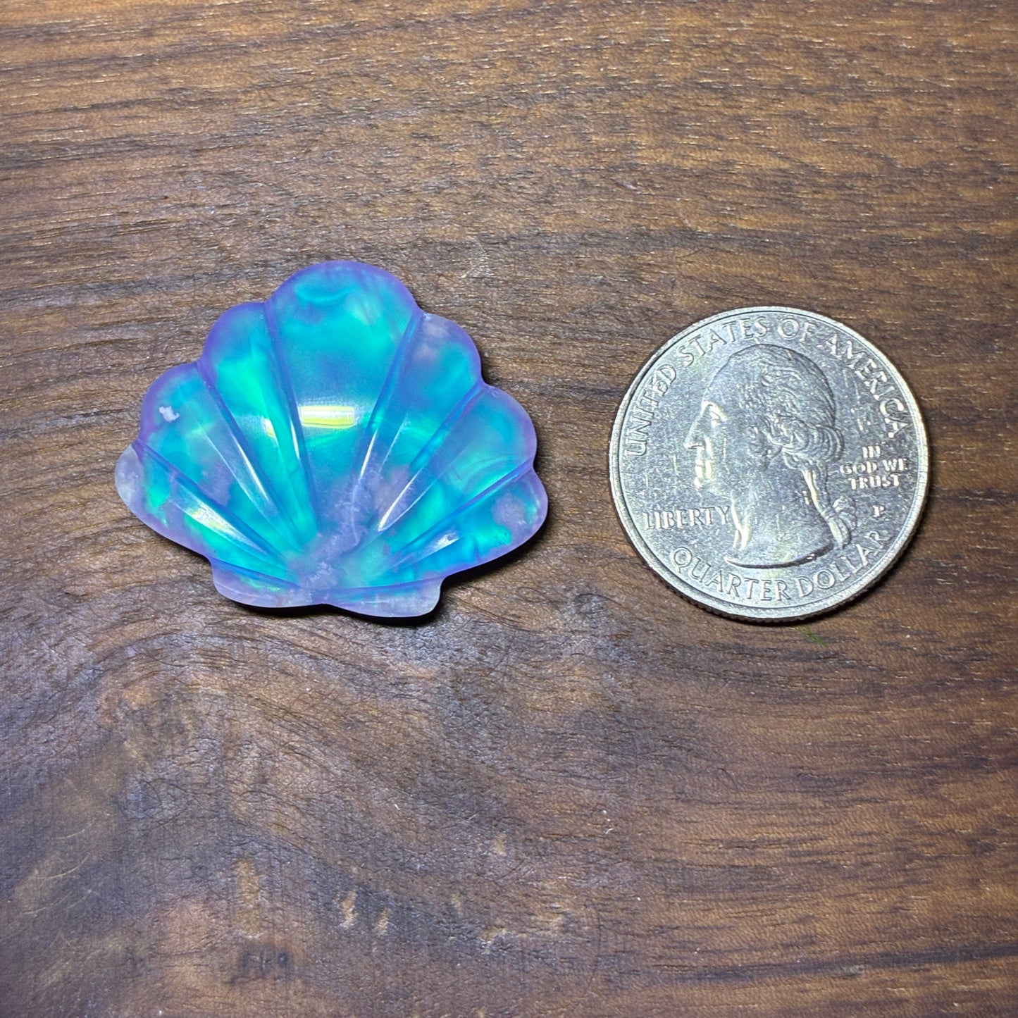 Plum Agate Aurora Doublet - Shell Shape - Cabochon