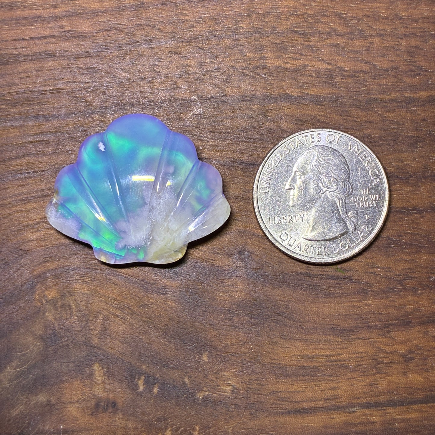 Plum Agate Aurora Doublet - Shell Shape - Cabochon