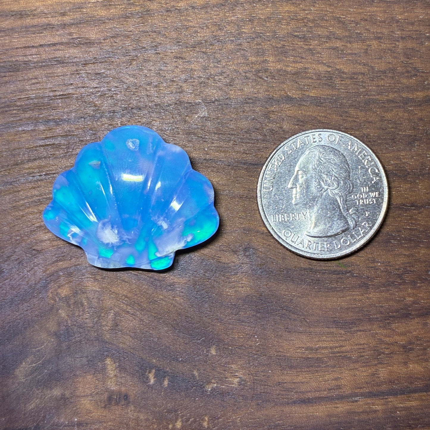 Plum Agate Aurora Doublet - Shell Shape - Cabochon