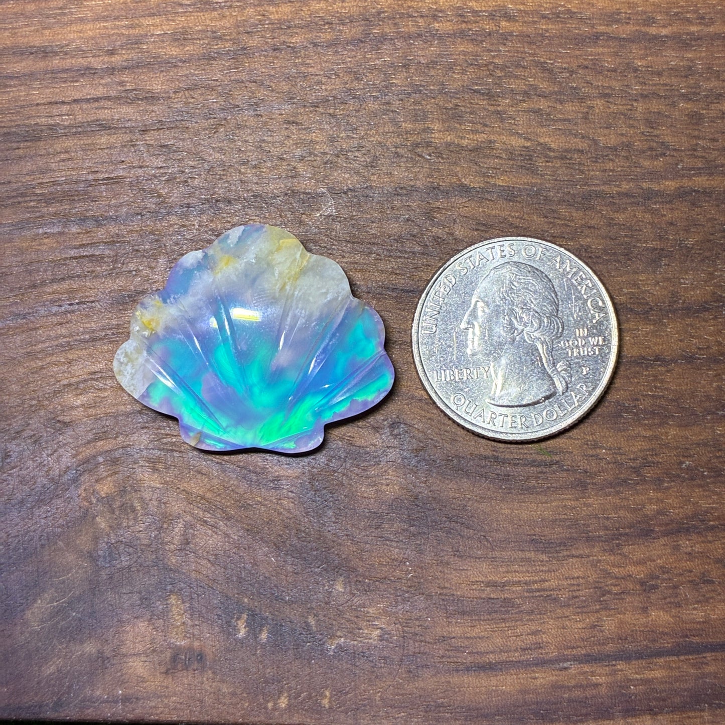 Plum Agate Aurora Doublet - Shell Shape - Cabochon