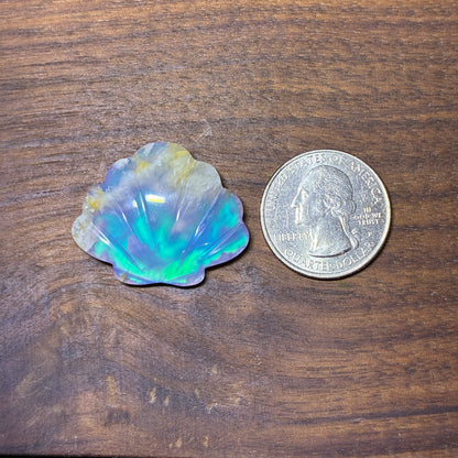 Plum Agate Aurora Doublet - Shell Shape - Cabochon