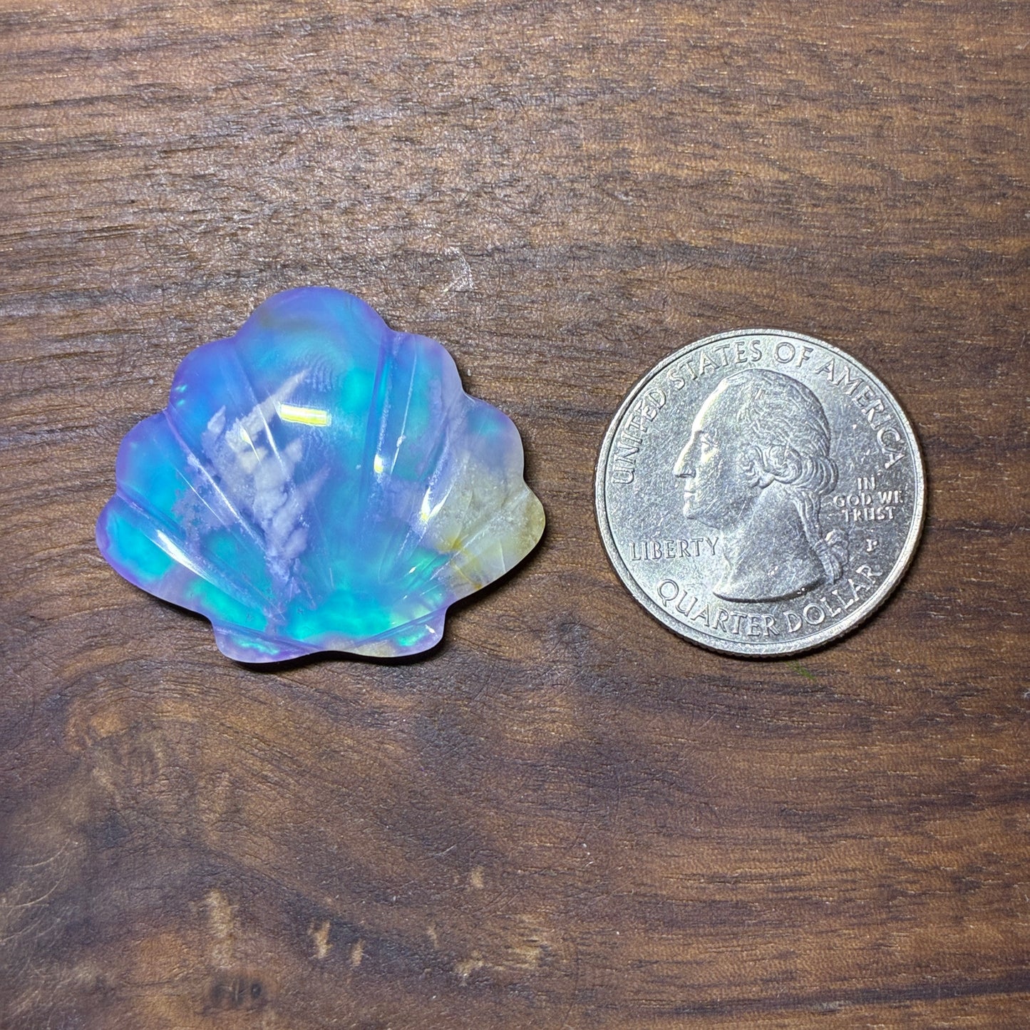 Plum Agate Aurora Doublet - Shell Shape - Cabochon