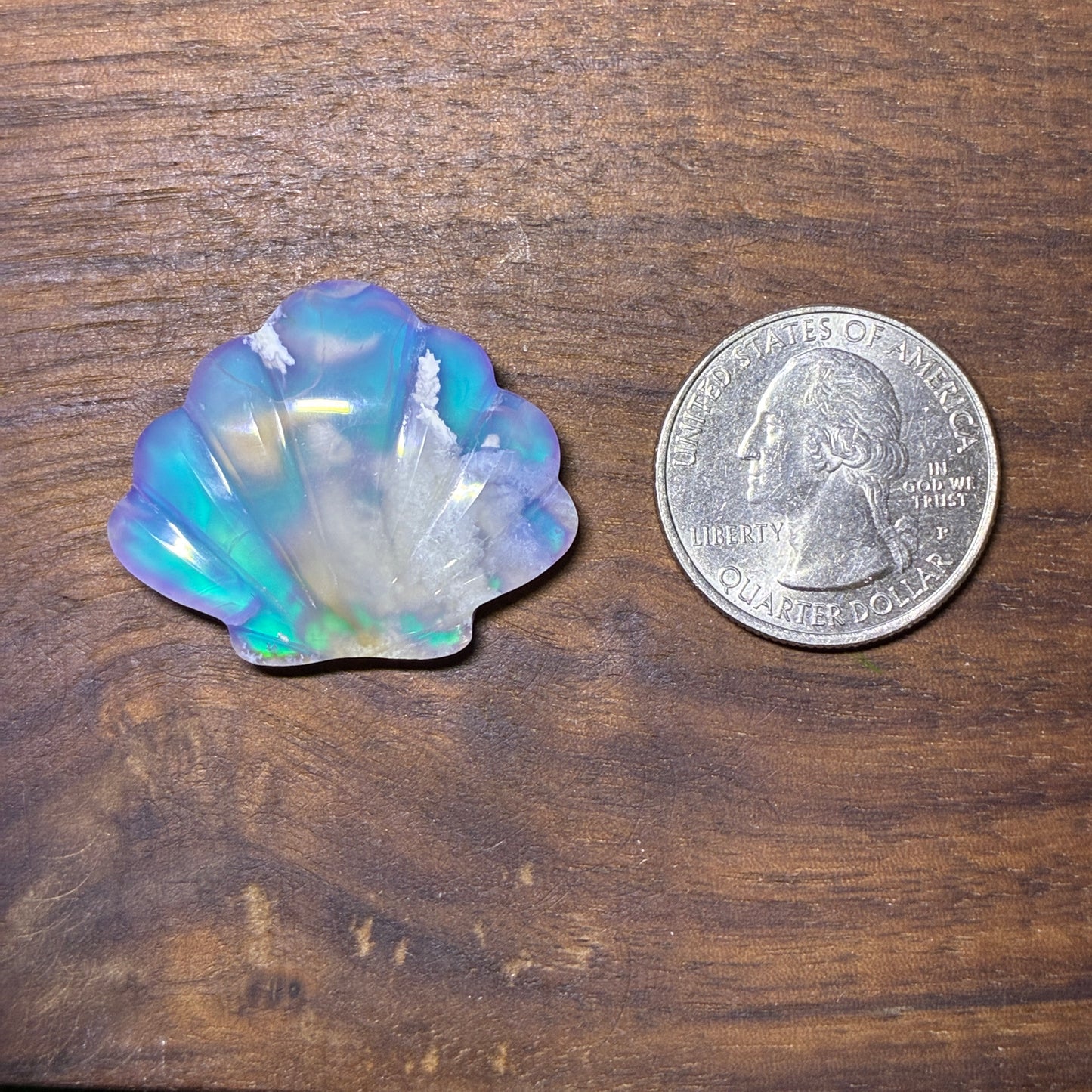 Plum Agate Aurora Doublet - Shell Shape - Cabochon