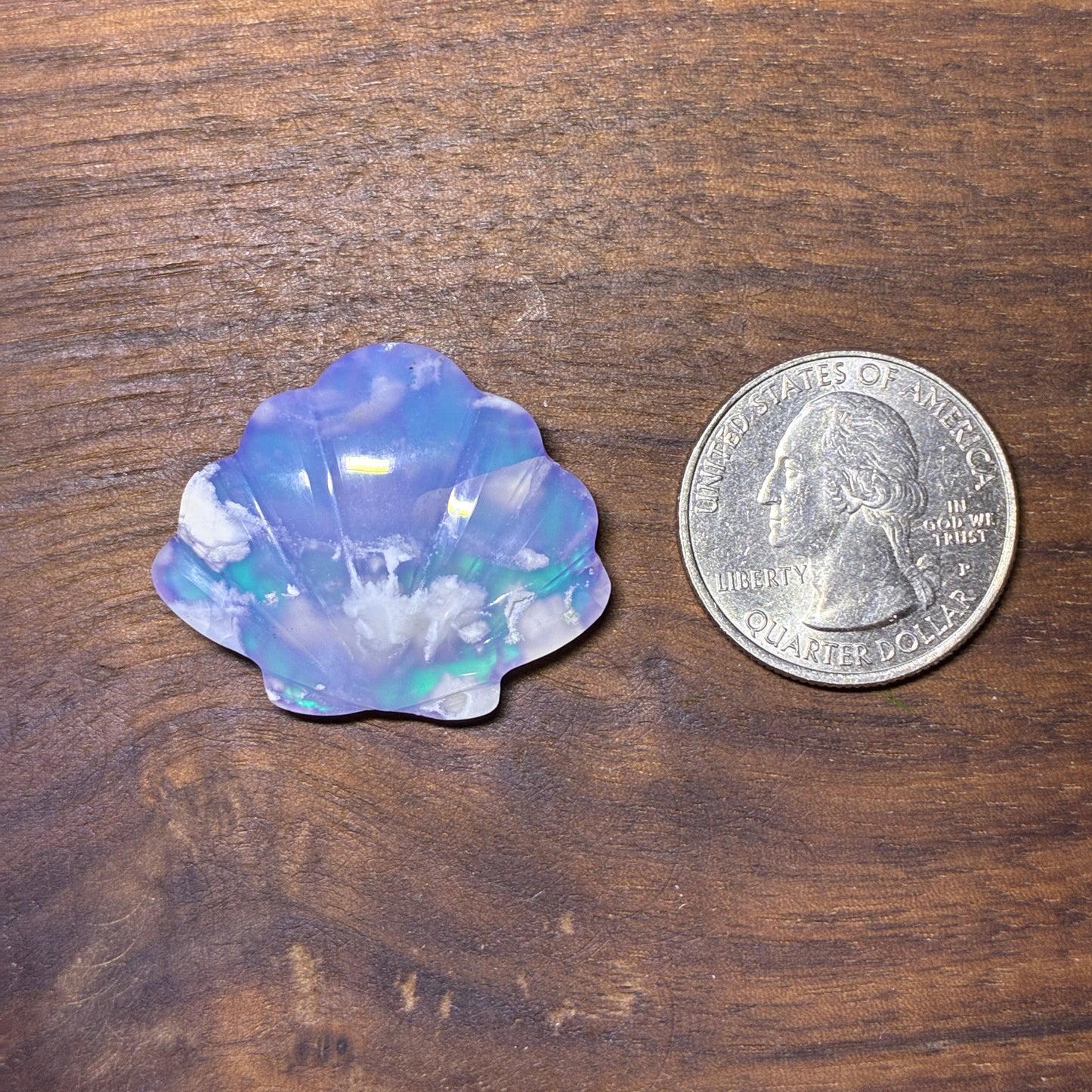 Plum Agate Aurora Doublet - Shell Shape - Cabochon