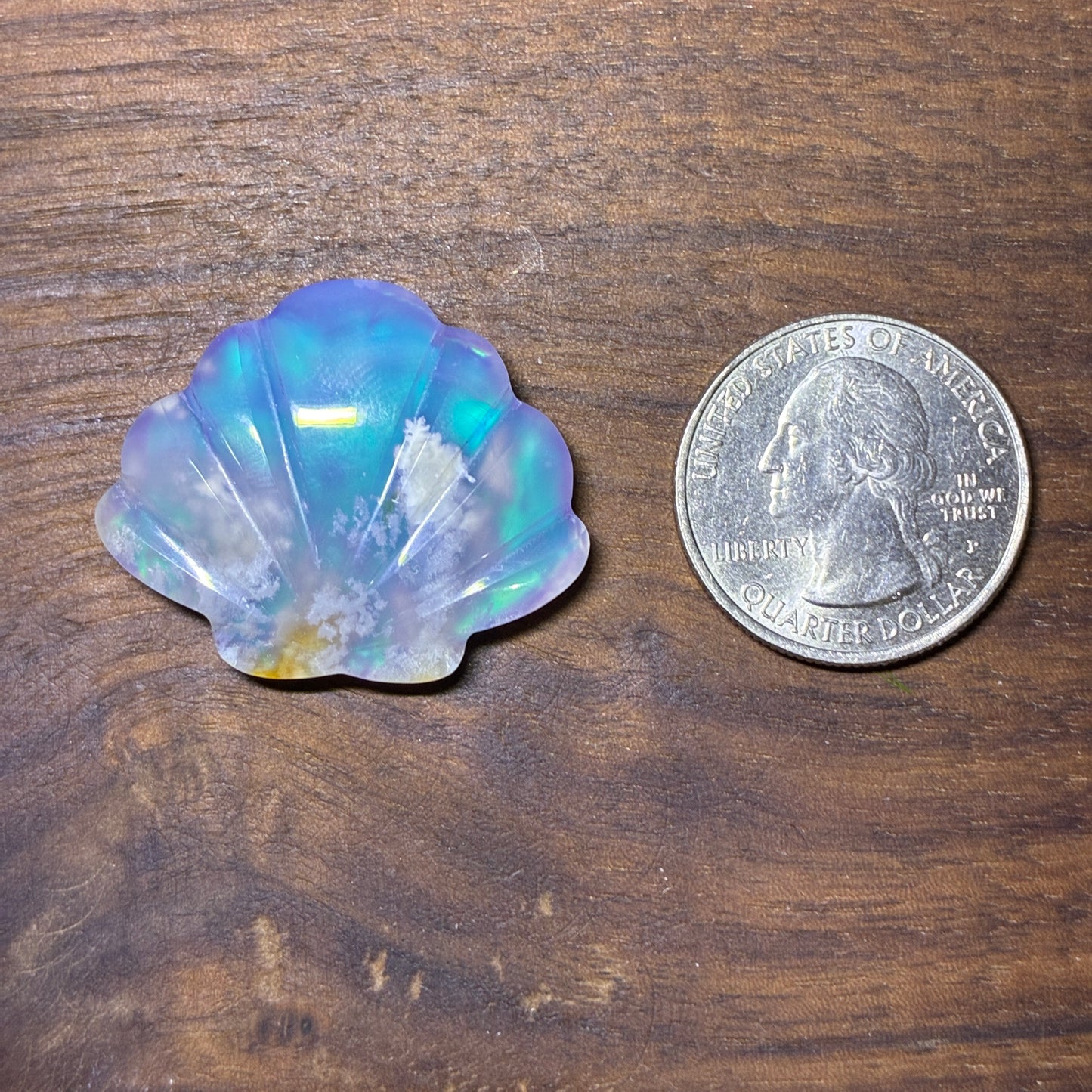 Plum Agate Aurora Doublet - Shell Shape - Cabochon