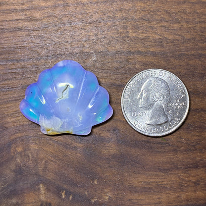 Plum Agate Aurora Doublet - Shell Shape - Cabochon