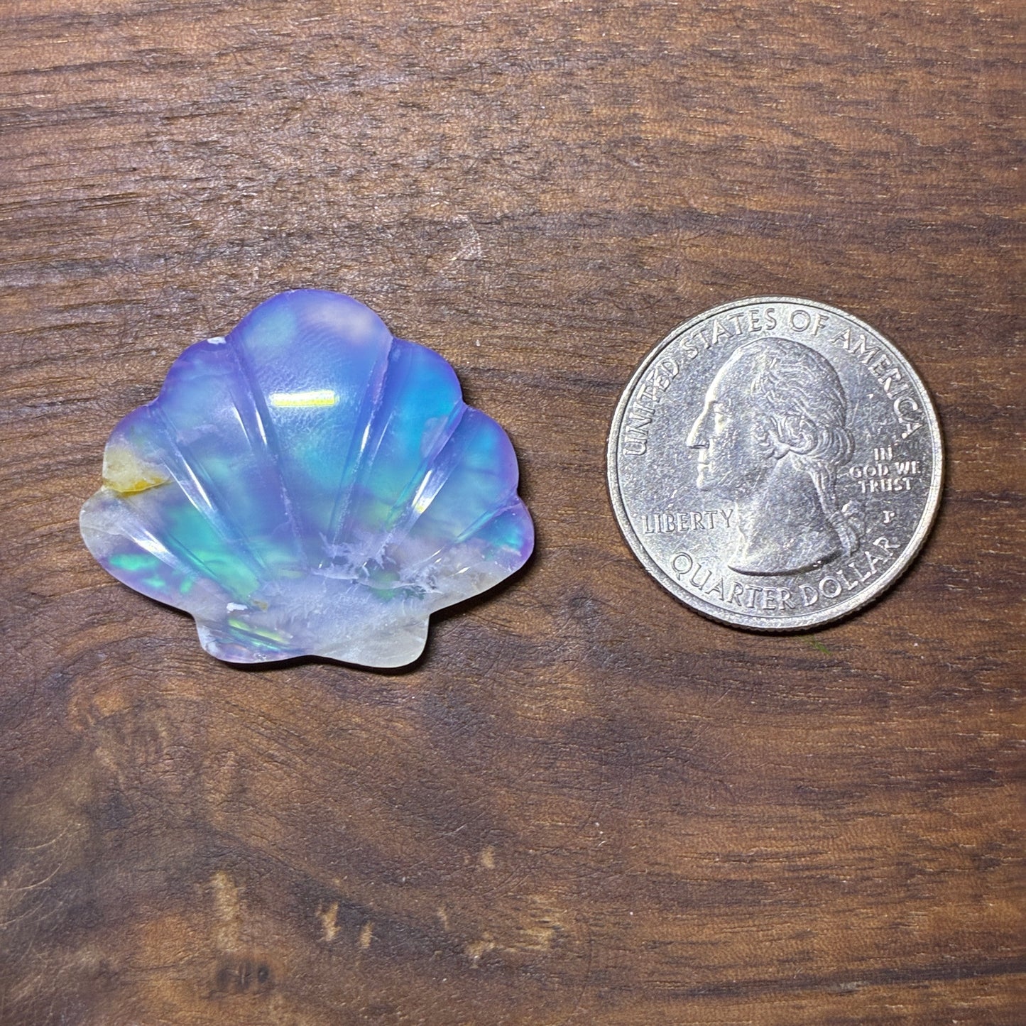 Plum Agate Aurora Doublet - Shell Shape - Cabochon