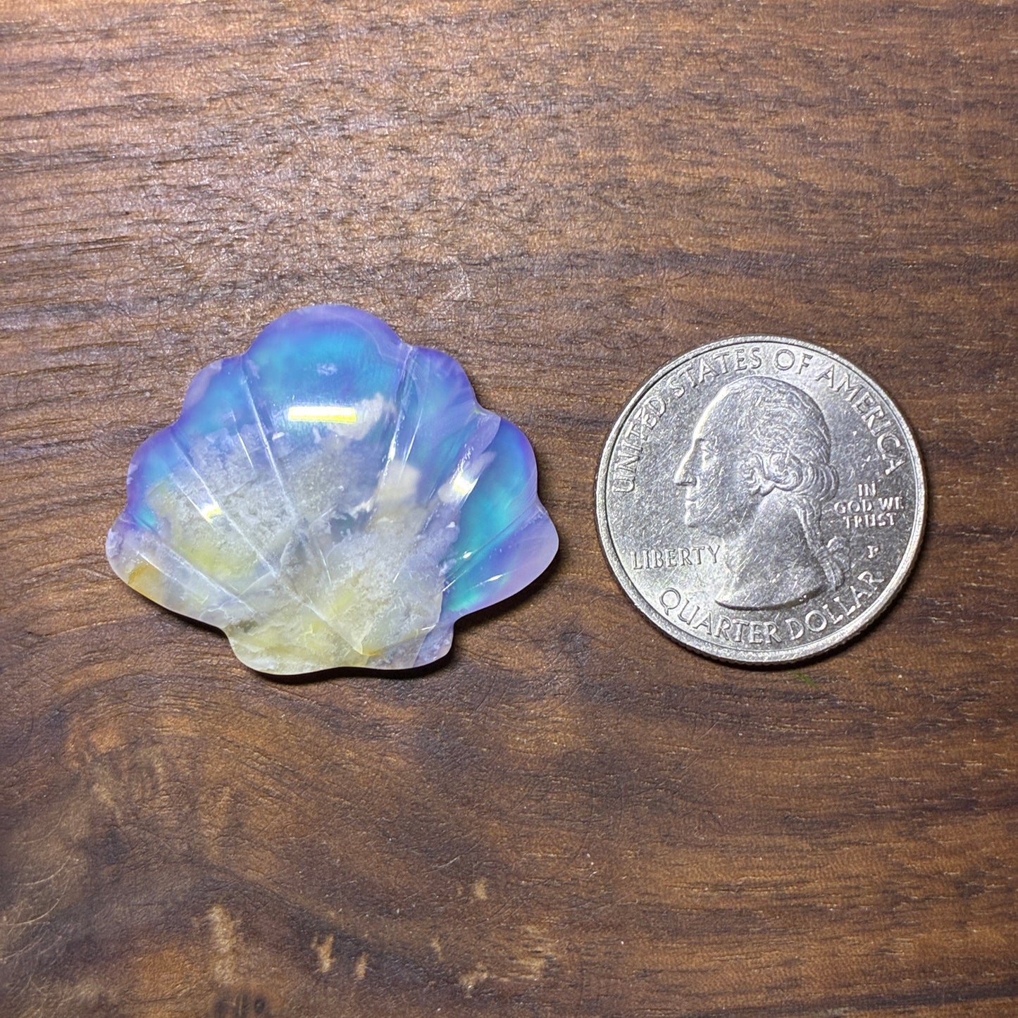 Plum Agate Aurora Doublet - Shell Shape - Cabochon