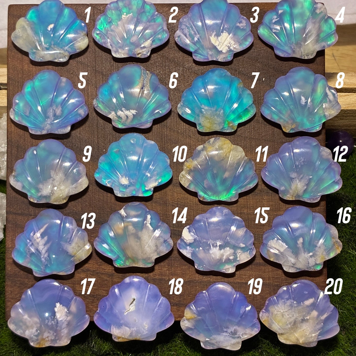 Plum Agate Aurora Doublet - Shell Shape - Cabochon