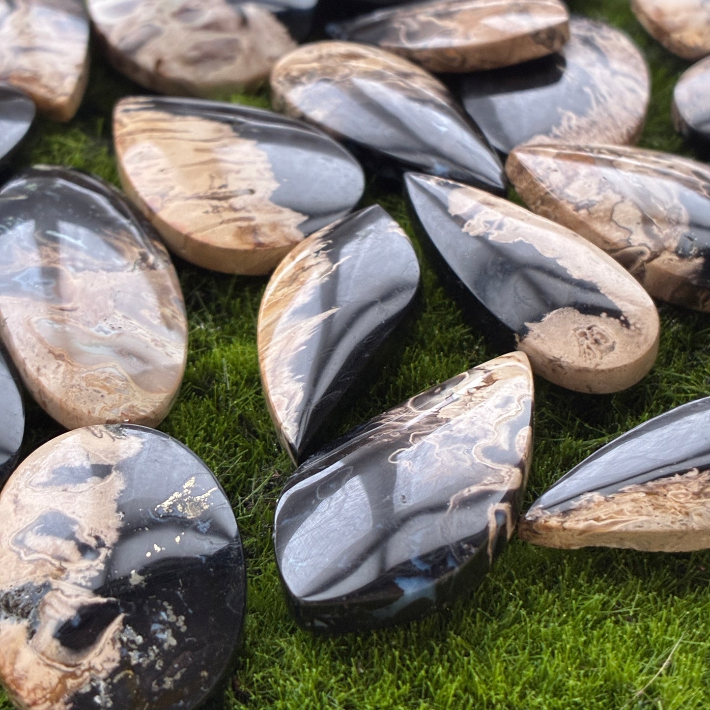 Indonesia Palm Root - Cabochon - Oval - Teardrop - Triangle - Round