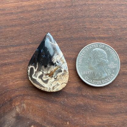 Indonesia Palm Root - Cabochon - Oval - Teardrop - Triangle - Round