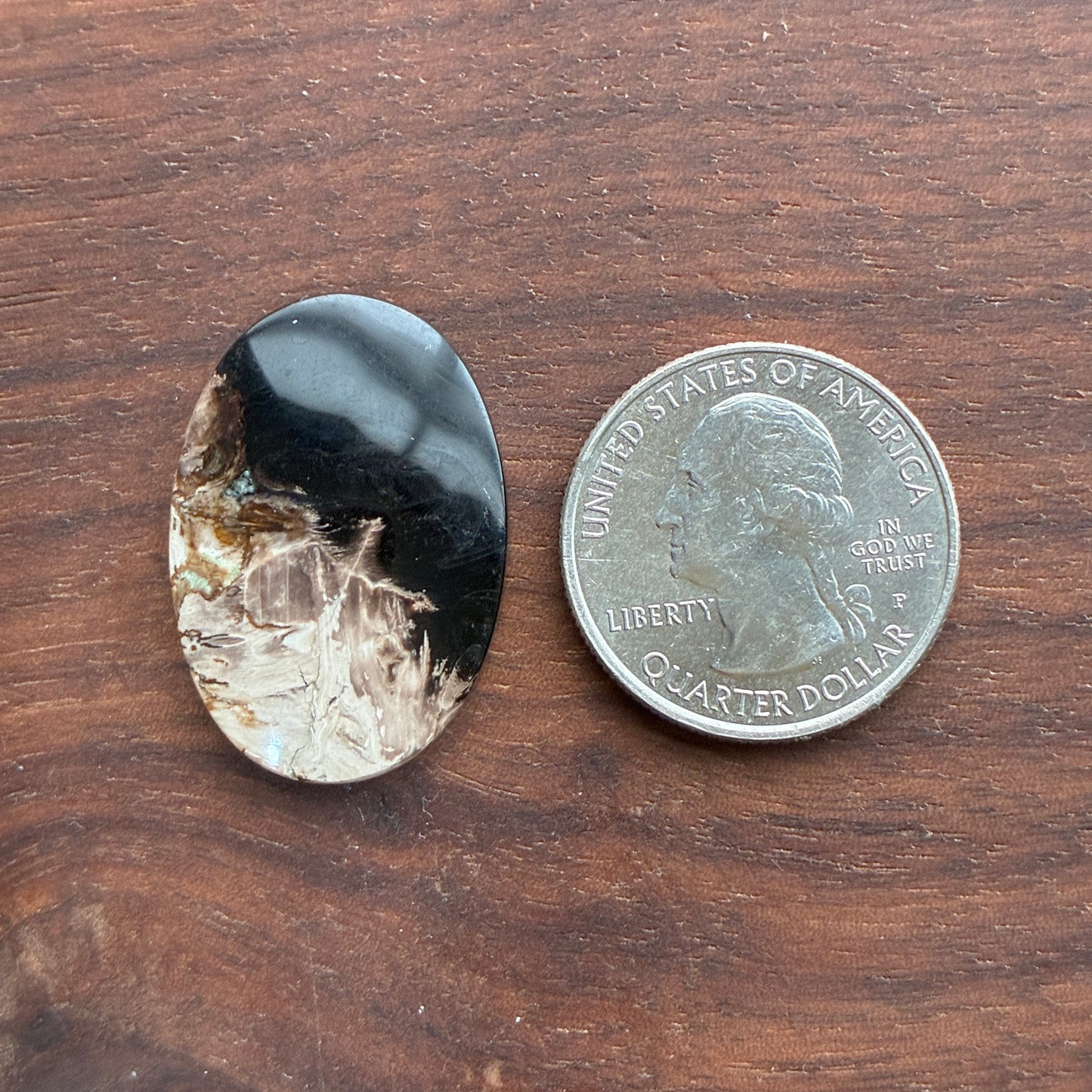 Indonesia Palm Root - Cabochon - Oval - Teardrop - Triangle - Round