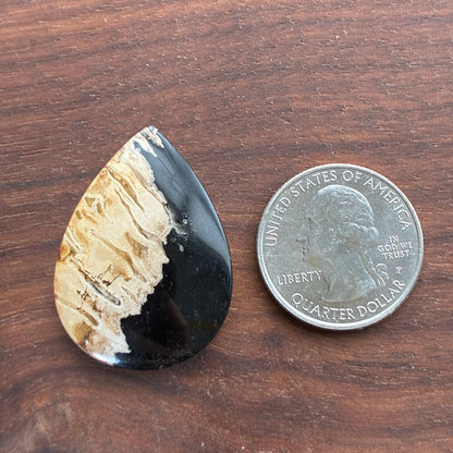 Indonesia Palm Root - Cabochon - Oval - Teardrop - Triangle - Round