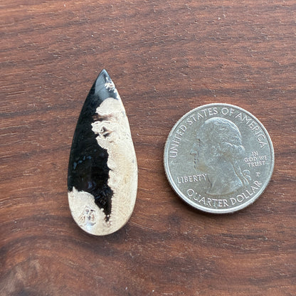 Indonesia Palm Root - Cabochon - Oval - Teardrop - Triangle - Round