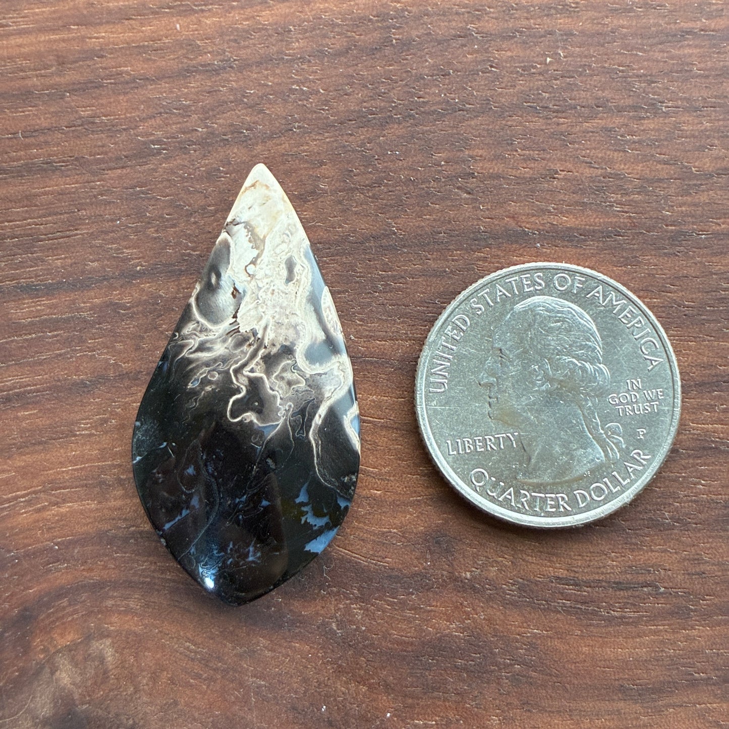 Indonesia Palm Root - Cabochon - Oval - Teardrop - Triangle - Round